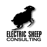 Electric Sheep Consulting